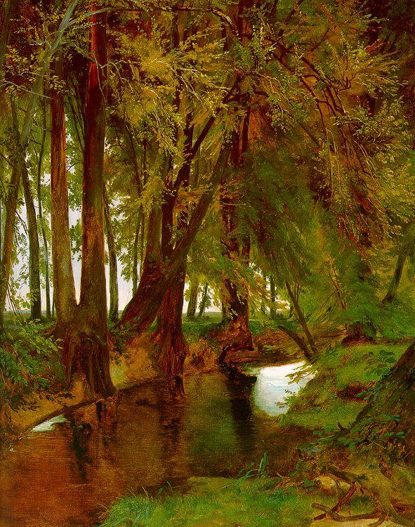 Charles Blechen Woodland with Brook oil painting image
